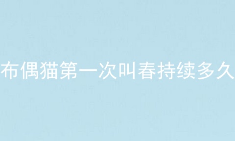 布偶猫第一次叫春持续多久