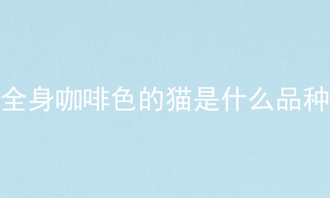 全身咖啡色的猫是什么品种