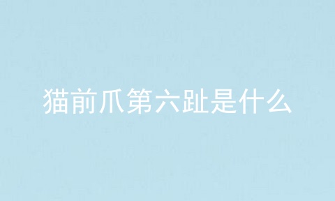 猫前爪第六趾是什么