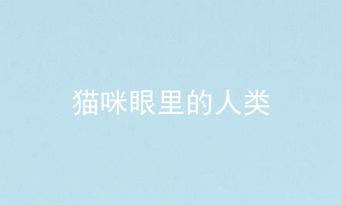 猫咪眼里的人类