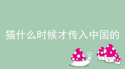 猫什么时候才传入中国的