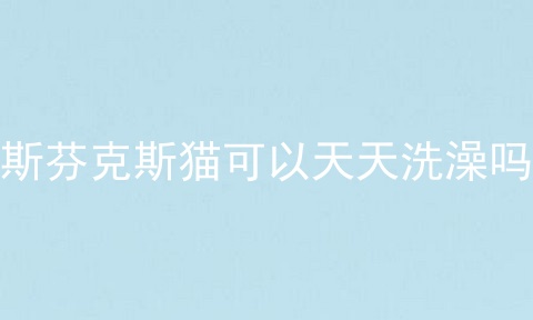 斯芬克斯猫可以天天洗澡吗
