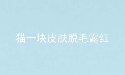 猫一块皮肤脱毛露红