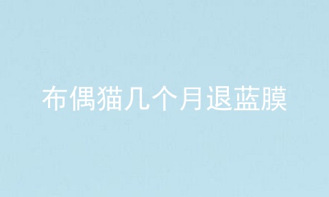 布偶猫几个月退蓝膜