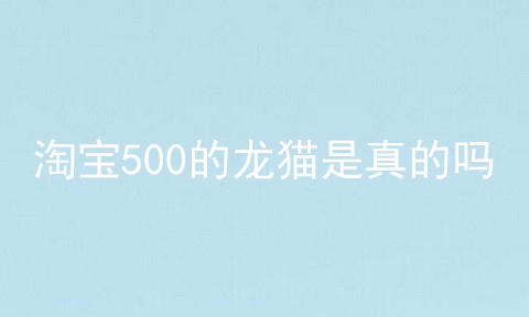 淘宝500的龙猫是真的吗