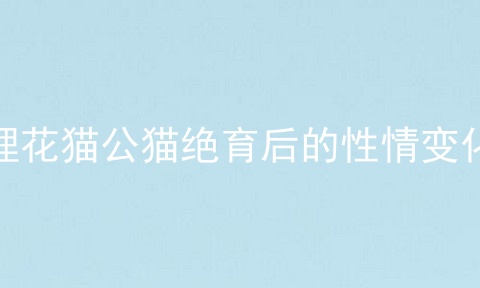 狸花猫公猫绝育后的性情变化