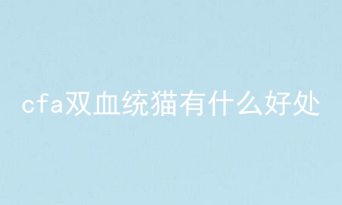 cfa双血统猫有什么好处