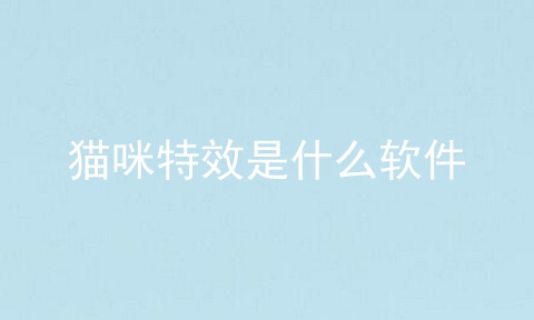 猫咪特效是什么软件