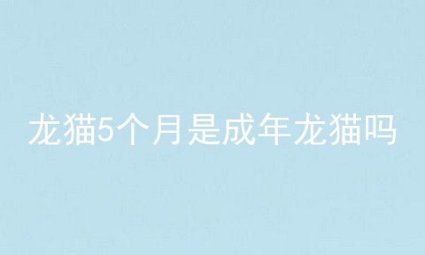 龙猫5个月是成年龙猫吗