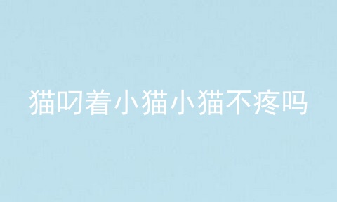 猫叼着小猫小猫不疼吗