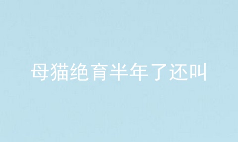 母猫绝育半年了还叫