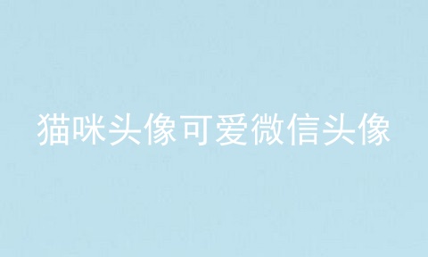 猫咪头像可爱微信头像