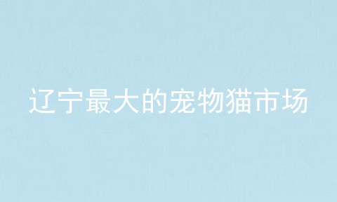 辽宁最大的宠物猫市场