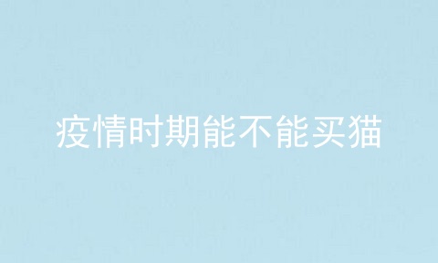 疫情时期能不能买猫