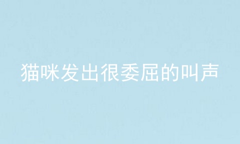 猫咪发出很委屈的叫声