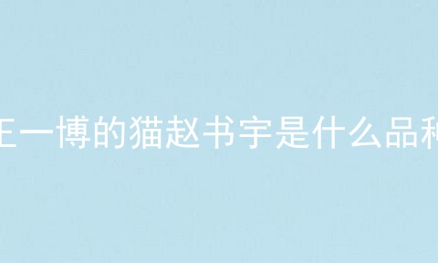 王一博的猫赵书宇是什么品种