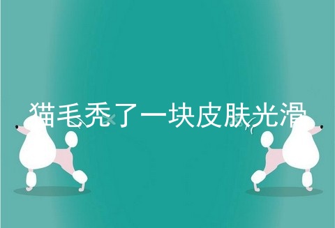 猫毛秃了一块皮肤光滑