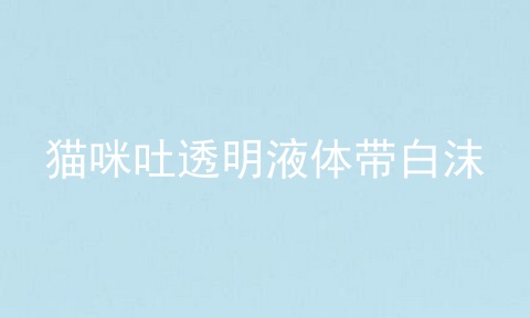 猫咪吐透明液体带白沫