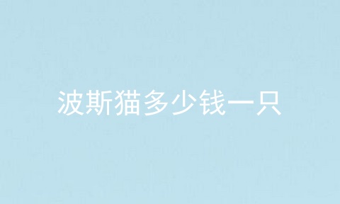 波斯猫多少钱一只