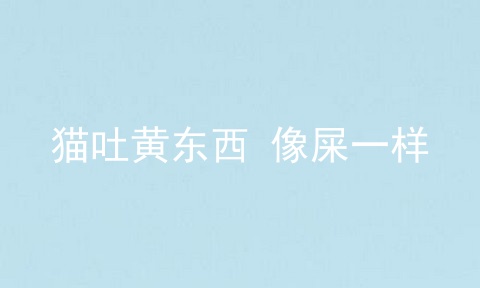 猫吐黄东西 像屎一样