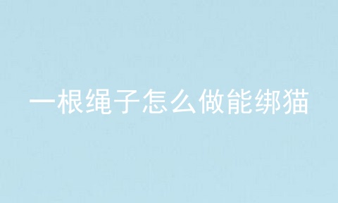 一根绳子怎么做能绑猫