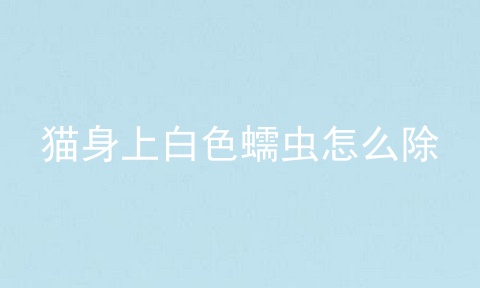 猫身上白色蠕虫怎么除