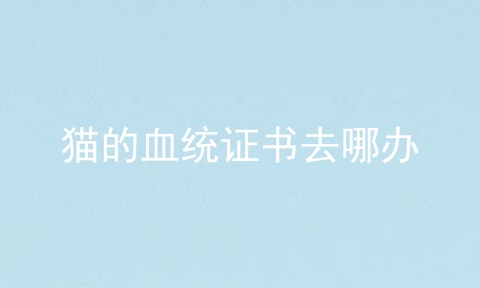 猫的血统证书去哪办