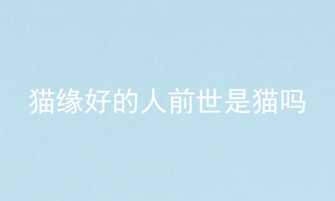 猫缘好的人前世是猫吗
