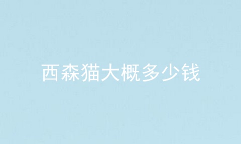 西森猫大概多少钱