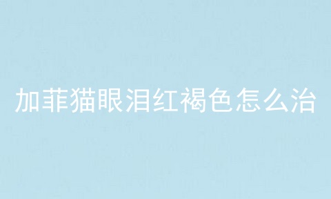 加菲猫眼泪红褐色怎么治