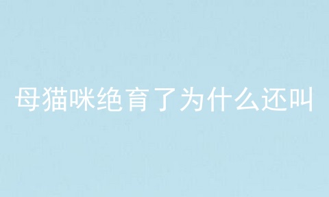 母猫咪绝育了为什么还叫