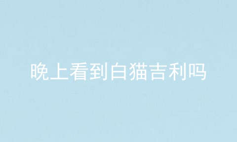 晚上看到白猫吉利吗