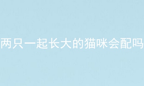 两只一起长大的猫咪会配吗