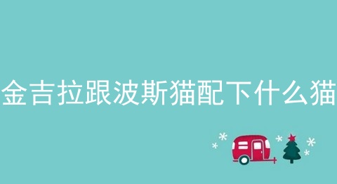金吉拉跟波斯猫配下什么猫
