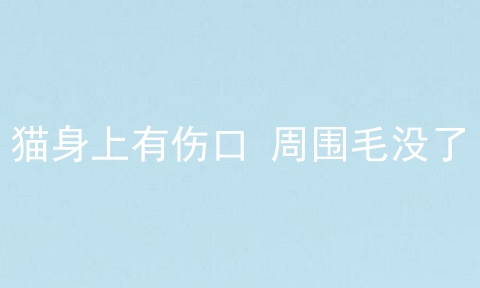 猫身上有伤口 周围毛没了