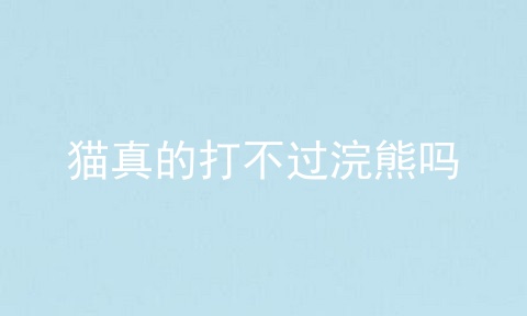 猫真的打不过浣熊吗