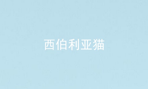 西伯利亚猫