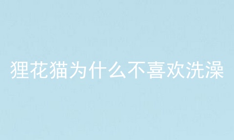 狸花猫为什么不喜欢洗澡