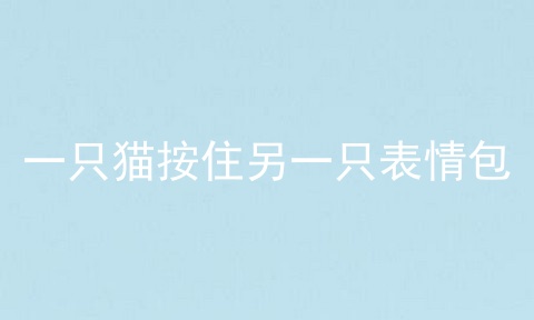 一只猫按住另一只表情包