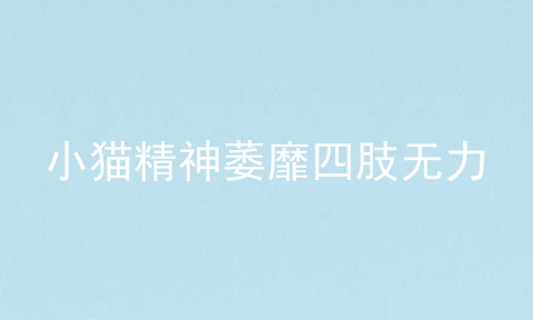 小猫精神萎靡四肢无力