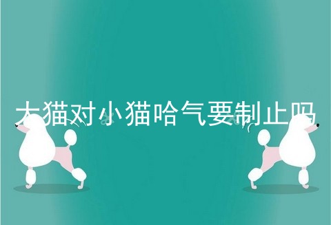 大猫对小猫哈气要制止吗