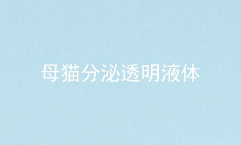 母猫分泌透明液体