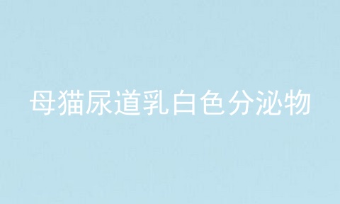 母猫尿道乳白色分泌物