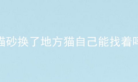 猫砂换了地方猫自己能找着吗