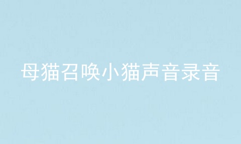 母猫召唤小猫声音录音