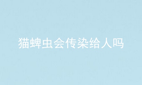 猫蜱虫会传染给人吗