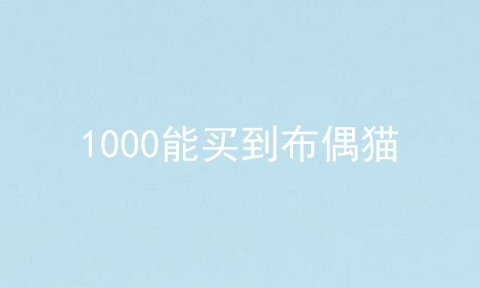 1000能买到布偶猫