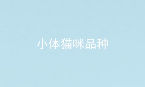 小体猫咪品种