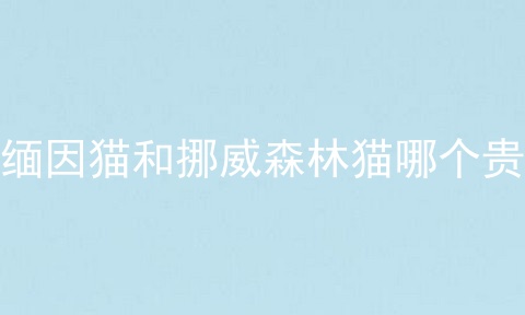 缅因猫和挪威森林猫哪个贵