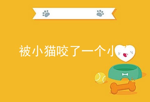 被小猫咬了一个小孔